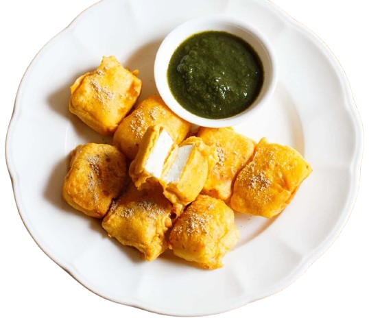 paneer pakoda 1 removebg preview